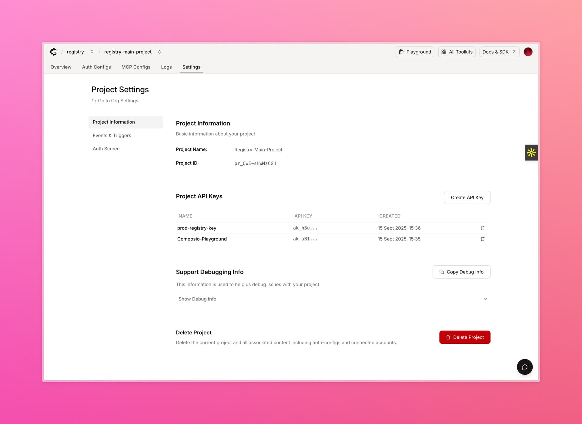 Project Settings Debugging Info